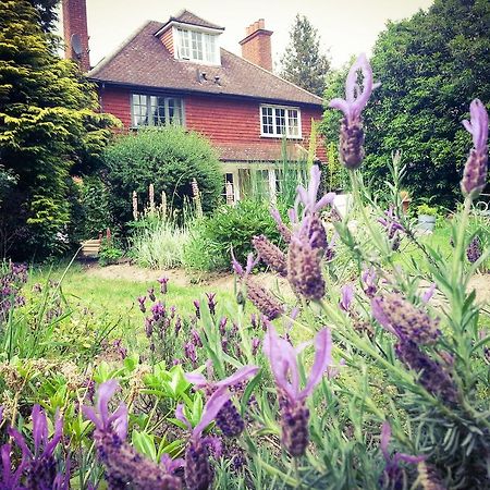 Rosemead Guest House Claygate Kültér fotó