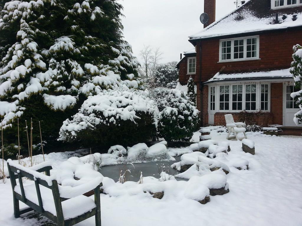 Rosemead Guest House Claygate Kültér fotó