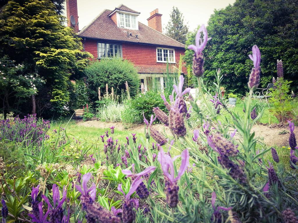 Rosemead Guest House Claygate Kültér fotó